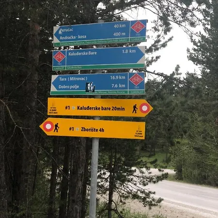 Vikendica Maksimovic - Tara - Primamo Vaucere * Kaludjerske Bare