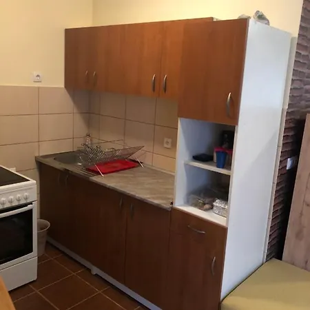 Vikendica Maksimovic - Tara - Primamo Vaucere Holiday home *