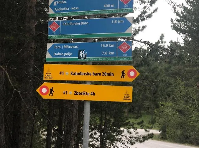 Vikendica Maksimovic - Tara - Primamo Vaucere * Kaludjerske Bare